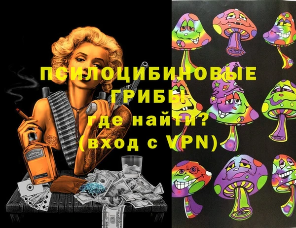 ГАЛЛЮЦИНОГЕННЫЕ ГРИБЫ Протвино