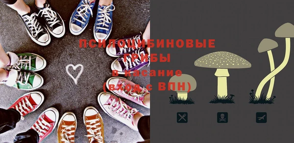 прущий лед Аркадак