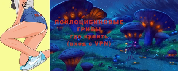 прущий лед Аркадак