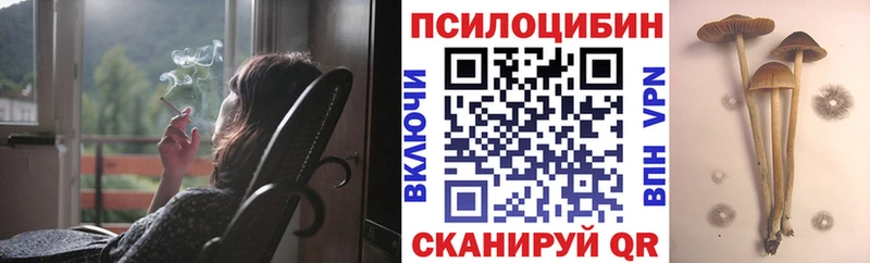 mega ссылка  хочу наркоту  Почеп  Галлюциногенные грибы Cubensis 